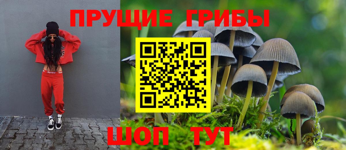 Псилоцибиновые грибы мухоморы  Вход с VPN  Тула  Галлюциногенные грибы ЛСД 